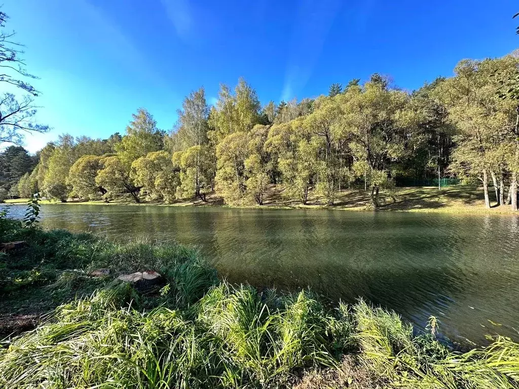 Участок в Московская область, Домодедово городской округ, д. Шахово  ... - Фото 1