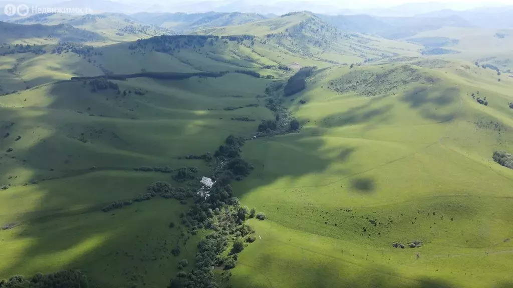 Участок в Чарышский район, село Чарышское (1000 м) - Фото 2