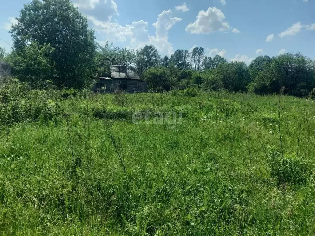 Участок в Псковская область, Псковский район, Торошинская волость, д. ... - Фото 1