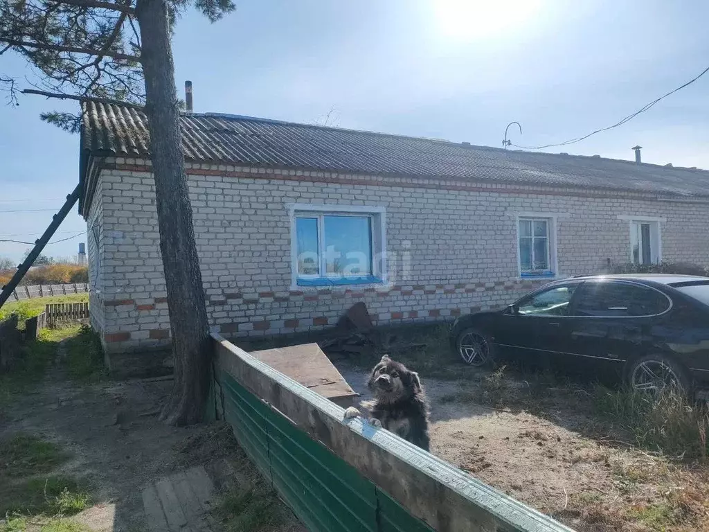Дом в Амурская область, Серышево пгт пер. Западный, 5/87 (56 м) - Фото 1