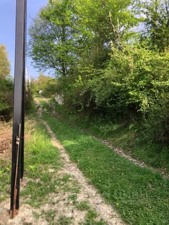 Участок в Краснодарский край, Сочи Королек садовое товарищество,  (6.0 ... - Фото 1