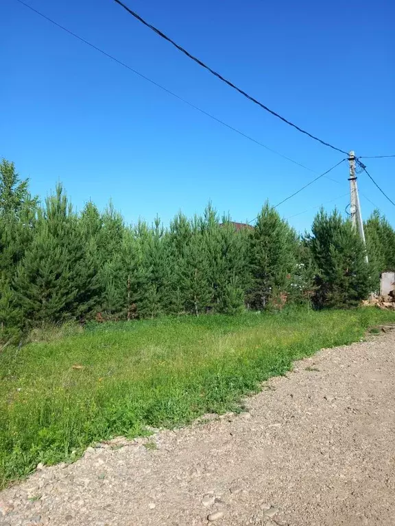 Участок в Иркутская область, Иркутский муниципальный округ, с. ... - Фото 0