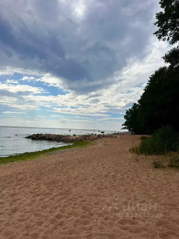 Участок в Ленинградская область, Выборгский район, Полянское с/пос, ... - Фото 1