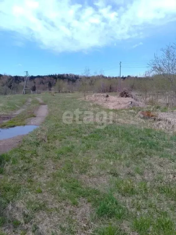 Участок в Сахалинская область, Анивский городской округ, с. Высокое  ... - Фото 0