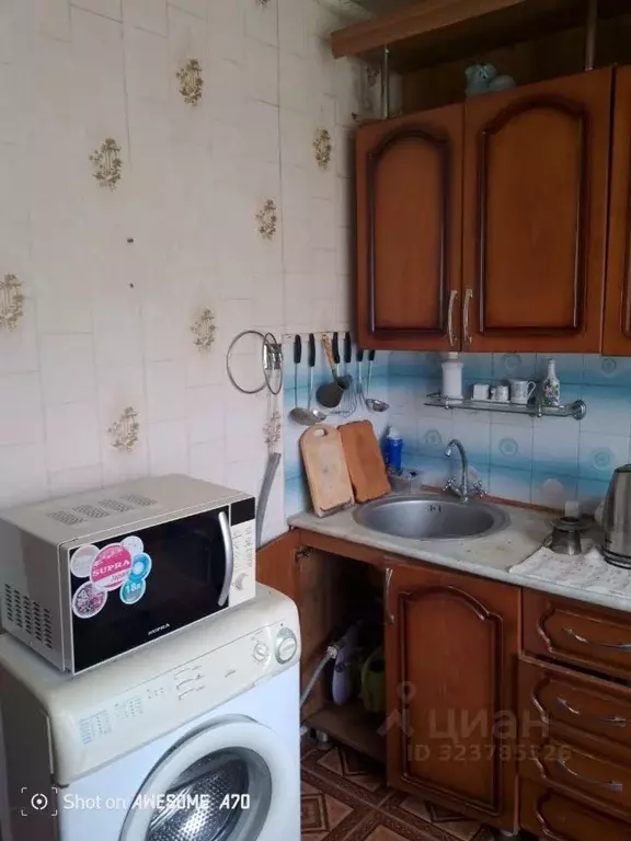 1-к кв. Краснодарский край, Сочи городской округ, с. Детляжка ул. ... - Фото 2