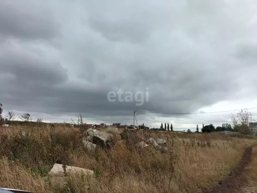 Участок в Воронежская область, с. Верхняя Хава ул. Новая (10.0 сот.) - Фото 0