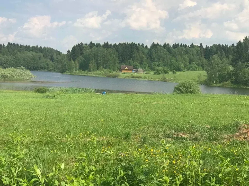 Участок в Московская область, Шаховская городской округ, с. Черленково ... - Фото 1