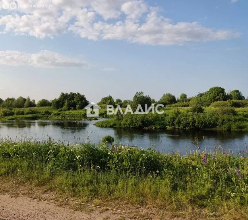 Участок в Республика Карелия, Олонецкое городское поселение, деревня ... - Фото 1