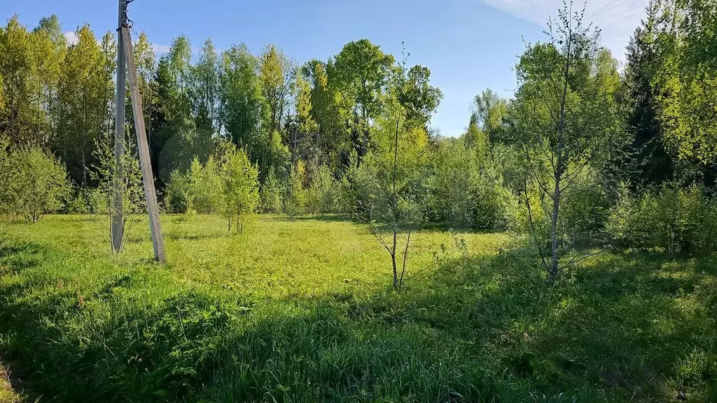 Участок 7 сот. (СНТ, ДНП) - Фото 1