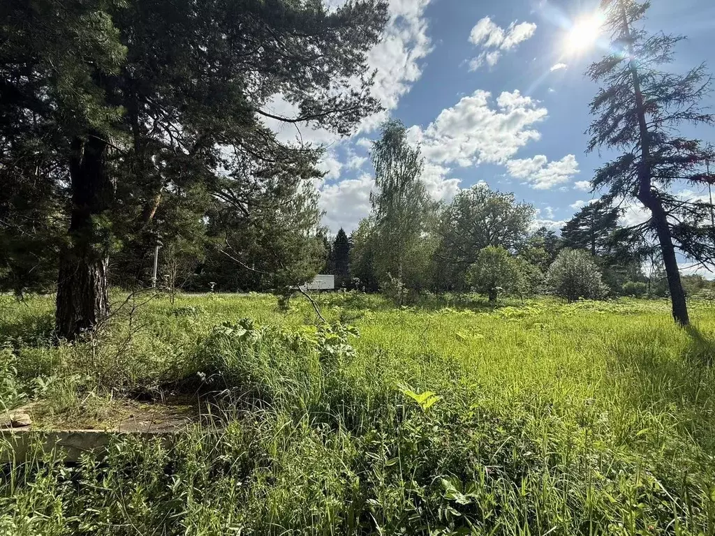 Участок в Московская область, Рузский муниципальный округ, Тучково пгт ... - Фото 2