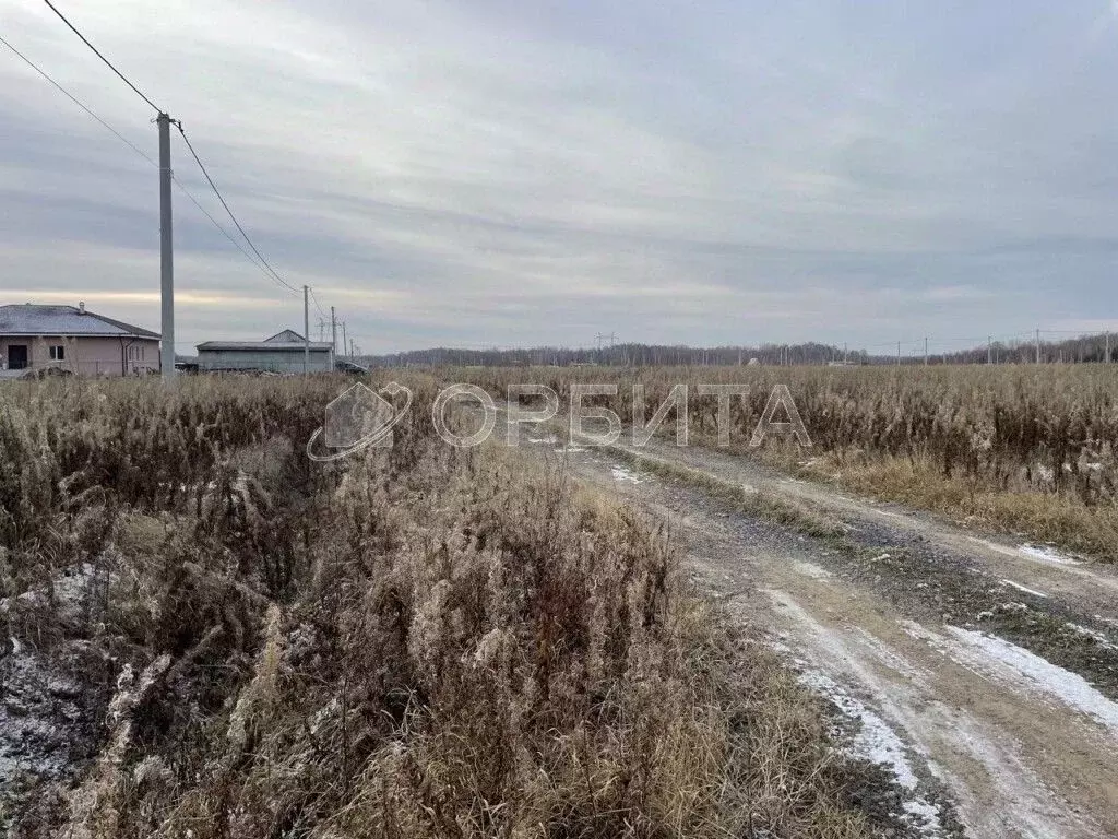 Участок в Тюменская область, Тюменский муниципальный округ, с. Кулига, ... - Фото 1