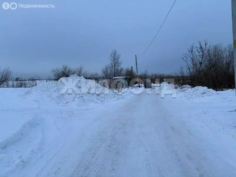 Участок в Новосибирская область, Коченёвский муниципальный район, СНТ ... - Фото 2