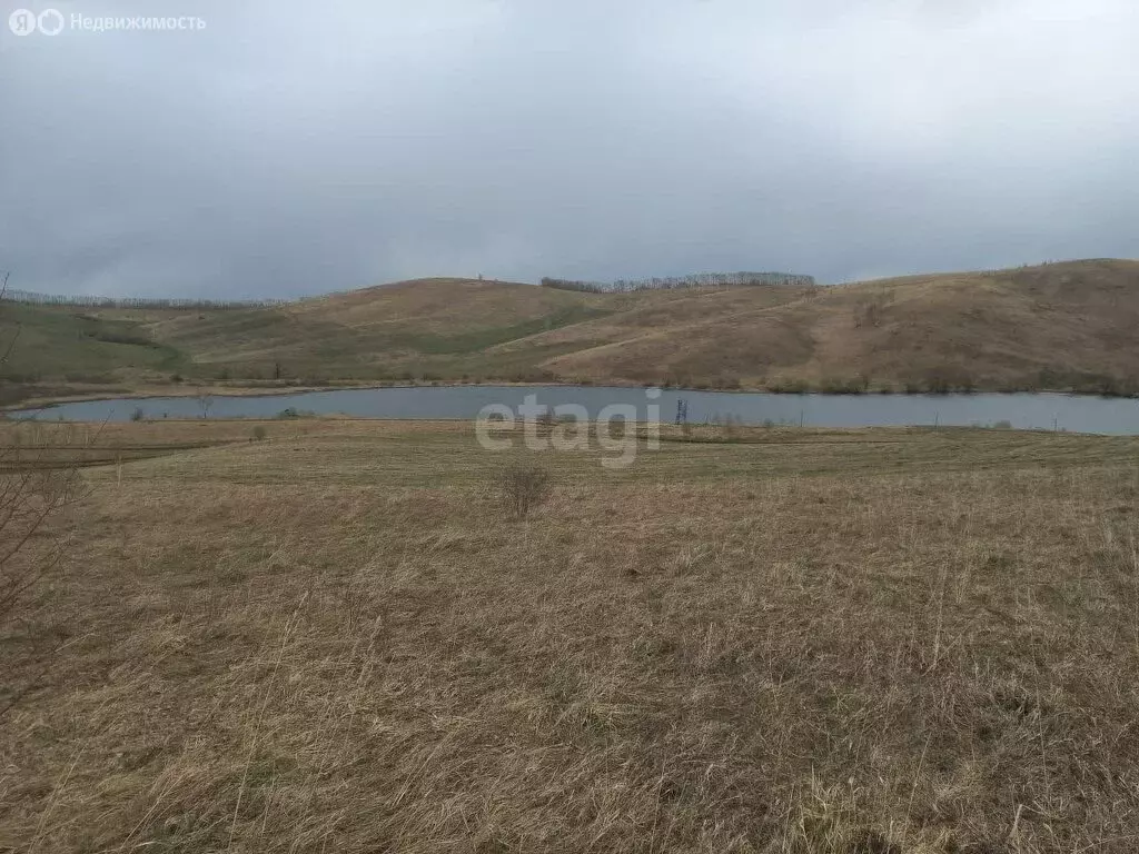 Участок в Алтайский район, село Ая (350 м) - Фото 0