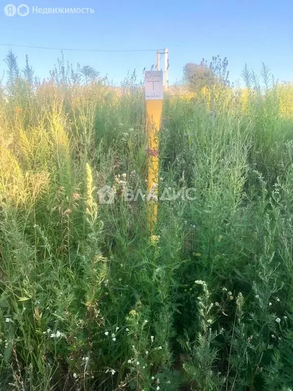 Участок в Нижегородская область, Богородский муниципальный округ, ... - Фото 1