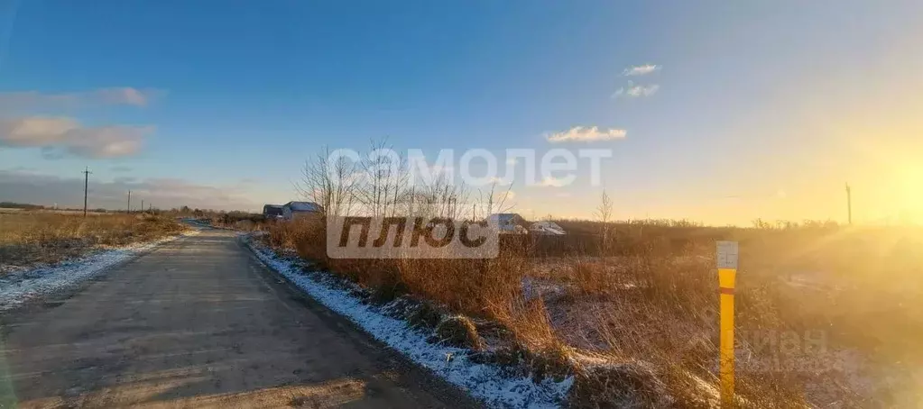 Участок в Ленинградская область, Гатчинский муниципальный округ, пос. ... - Фото 1