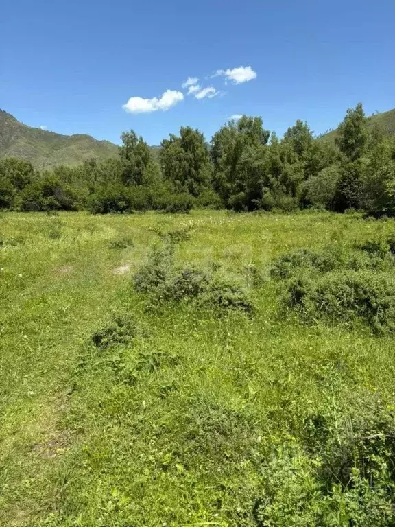 Участок в Алтай, с. Онгудай  (51.6 сот.) - Фото 1