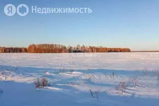 Участок в Тюменский район, село Горьковка (6 м) - Фото 0