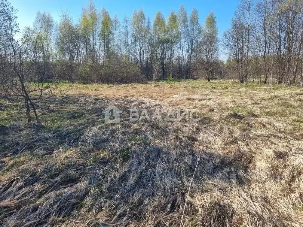 Участок в Калужская область, Жиздра Молодежная ул., 13 (15.0 сот.) - Фото 2