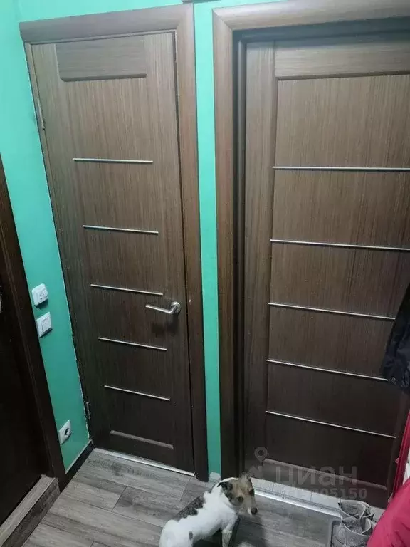 Квартира, 2 комнаты, 36 м - Фото 0