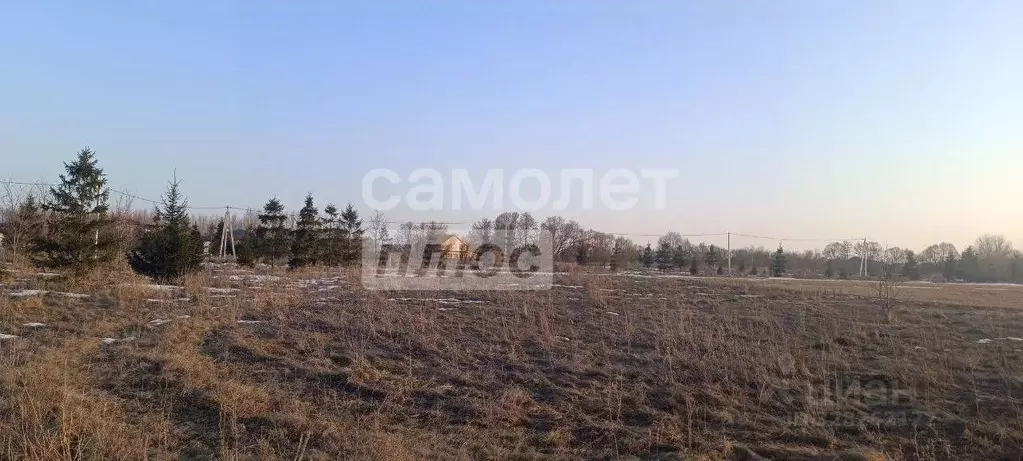Участок в Курская область, Курский район, Клюквинский сельсовет, с. ... - Фото 2