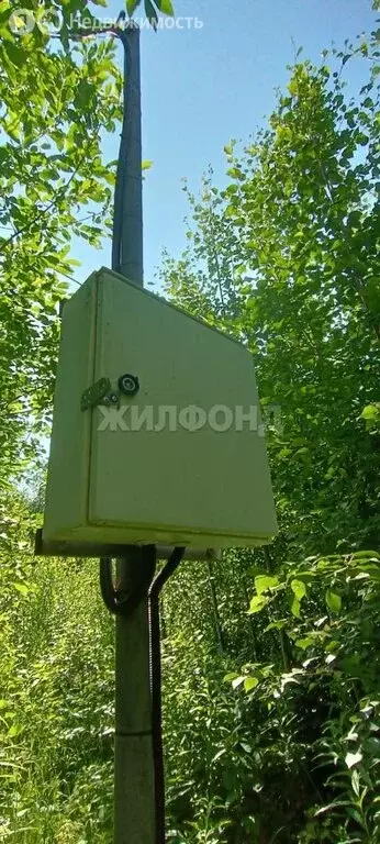 Участок в Архангельская область, Приморский муниципальный округ, ... - Фото 0