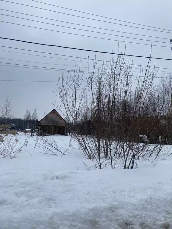 Участок в Пермский край, Пермь Бродовский тракт (10.0 сот.) - Фото 2