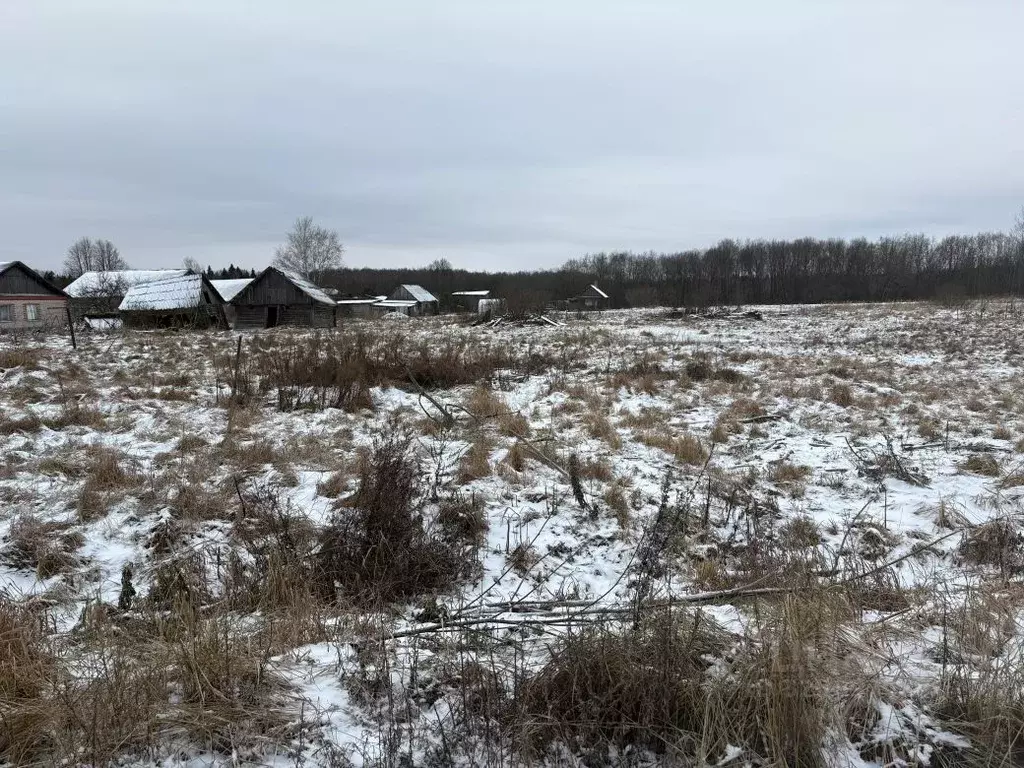 Участок в Московская область, Можайский муниципальный округ, д. ... - Фото 1