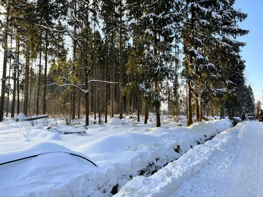 Участок в Московская область, Химки Сходня мкр, Первомайская ул. (8.55 ... - Фото 2