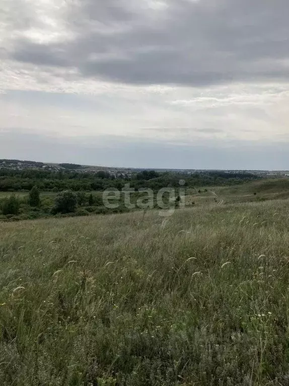 Участок в Белгородская область, Белгородский район, Тавровское с/пос, ... - Фото 0