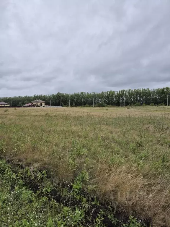 Участок в Омская область, Омский район, с. Усть-Заостровка, Радужный ... - Фото 1