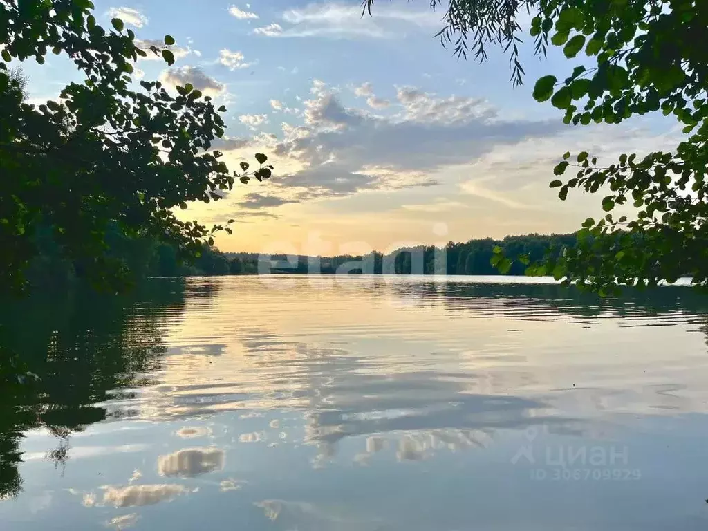 Участок в Тульская область, Дубенский район, Протасовское ... - Фото 0