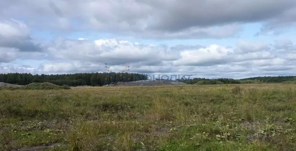 Участок в Нижегородская область, с. Безводное ул. Мирная (10.0 сот.) - Фото 1