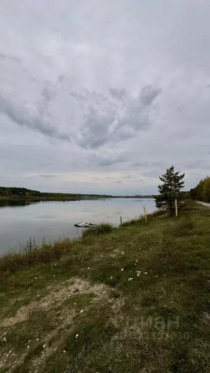 Участок в Свердловская область, Богданович муниципальный округ, с. ... - Фото 2