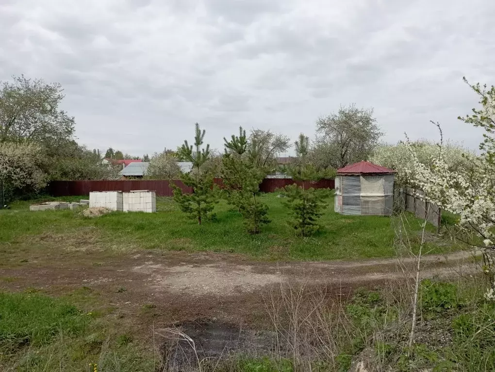 Участок в Саратовская область, с. Александровка ул. Садовая (10.0 ... - Фото 0