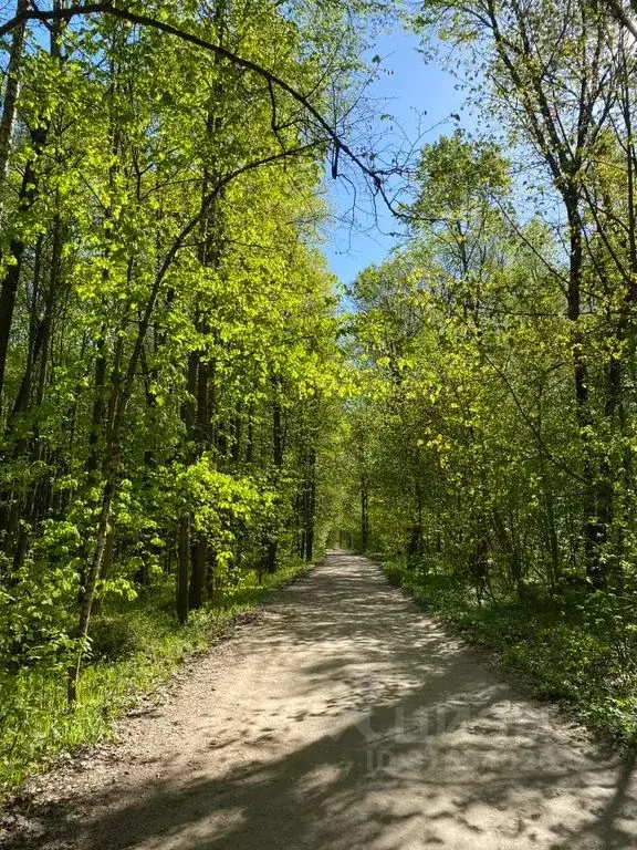 Дом в Калужская область, Таруса ул. Сосновая, 11 (110 м) - Фото 2