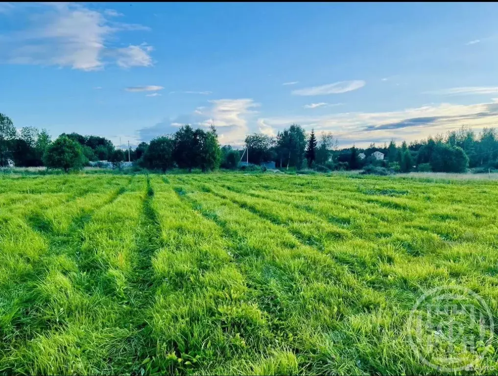 Участок в Ленинградская область, Лужский район, Заклинское с/пос, д. ... - Фото 1