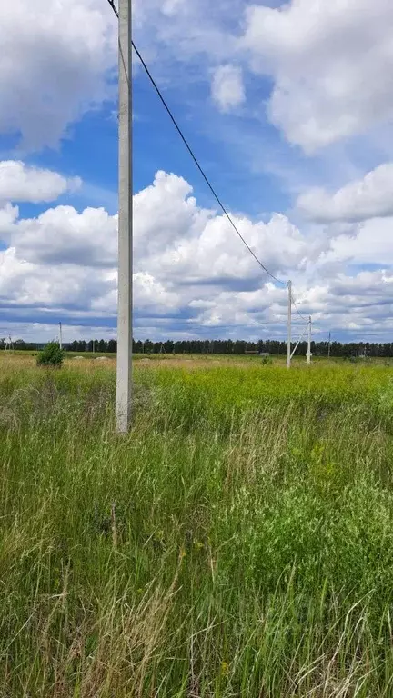 Участок в Ульяновская область, Ульяновск городской округ, с. Луговое ... - Фото 1