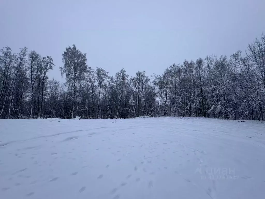 Участок в Ленинградская область, Лужский район, Володарское с/пос, ... - Фото 0