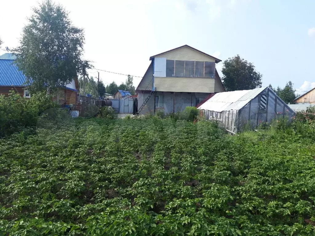 Купить Дачу 100 Т