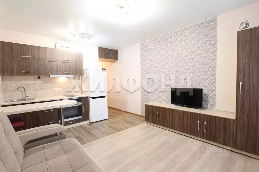 1-к кв. Новосибирская область, Новосибирск ул. Одоевского, 1/10 (23.7 ... - Фото 1