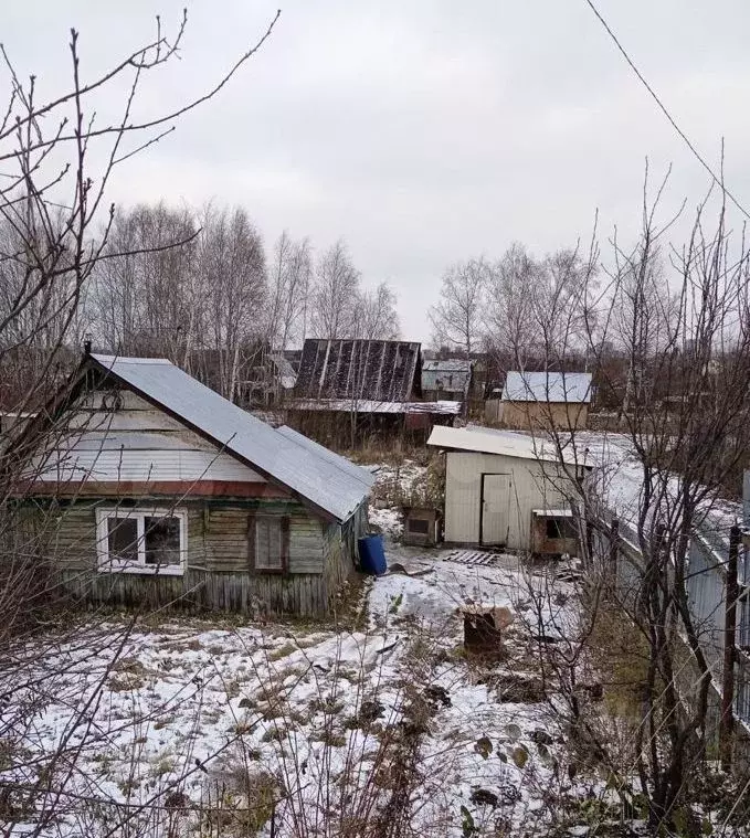 Участок в Пермский край, д. Хмели, Малинка-1 СНТ ул. Молодежная, 82 ... - Фото 0