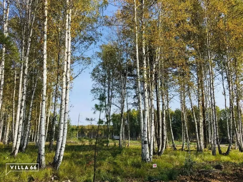 Участок в Свердловская область, Сысертский муниципальный округ, ... - Фото 0