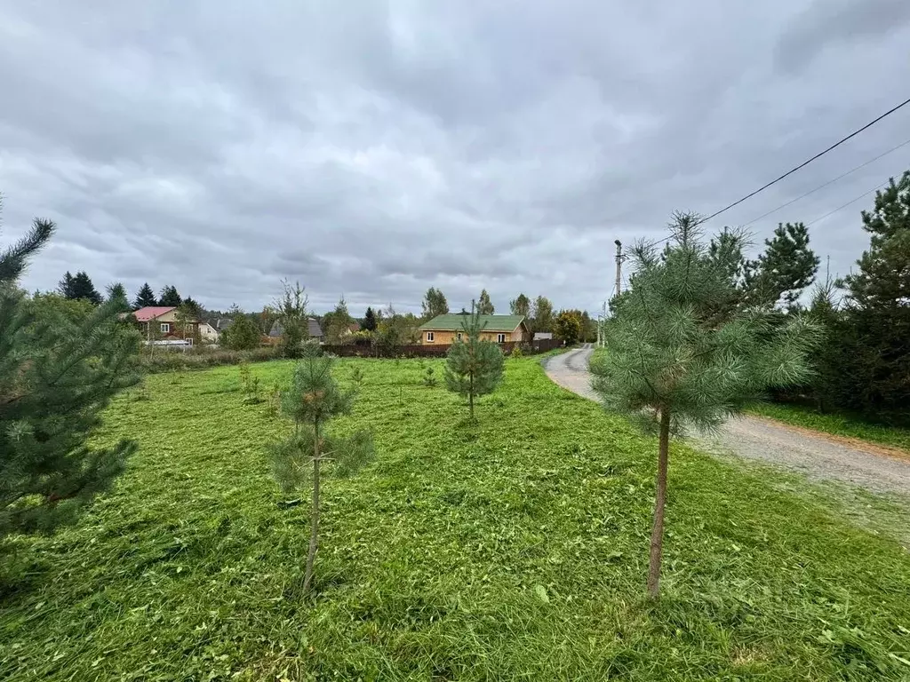Участок в Московская область, Солнечногорск городской округ, д. ... - Фото 2
