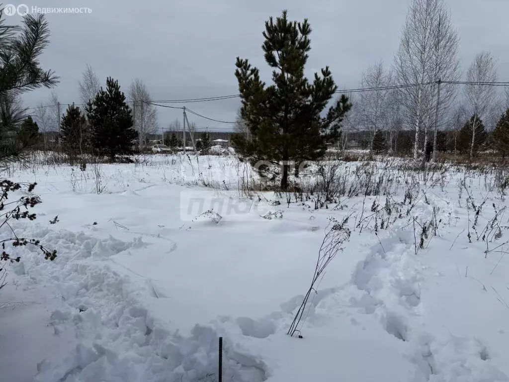 Участок в село Большие Харлуши, коттеджный посёлок Новые Харлуши (8.56 ... - Фото 1