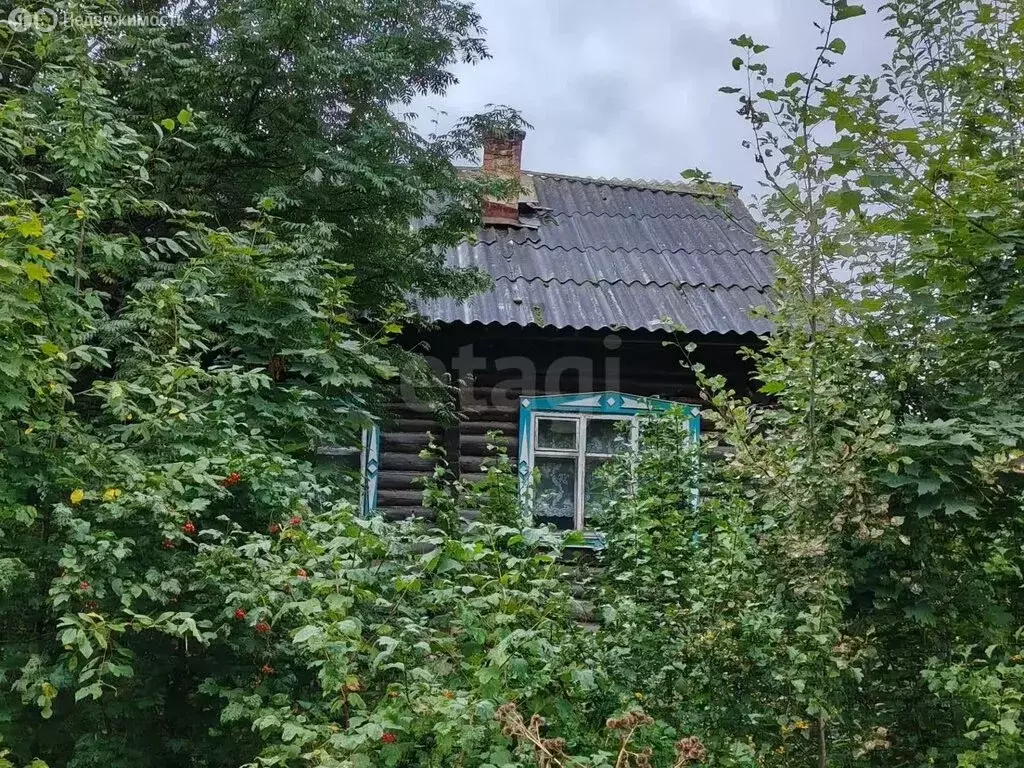 Дом в Балезинский район, село Заречный, Советская улица (53.7 м) - Фото 2