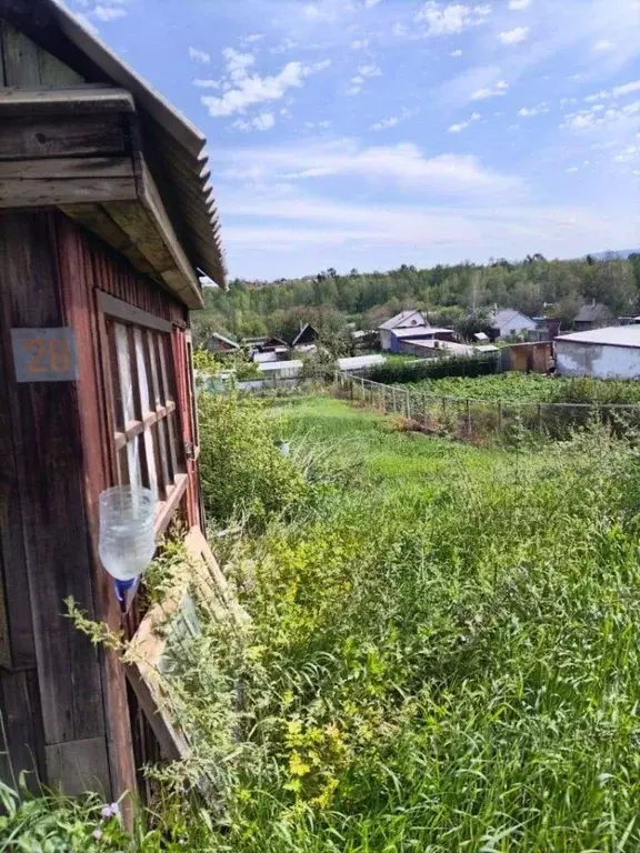 Участок в Забайкальский край, Чита № 38 Ручеек ТСН, ул. Верхняя ... - Фото 2