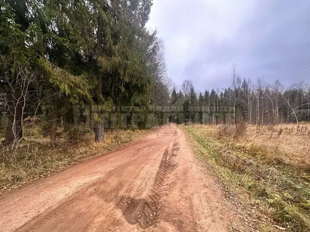 Участок в Смоленская область, Рославльский муниципальный округ, д. ... - Фото 2