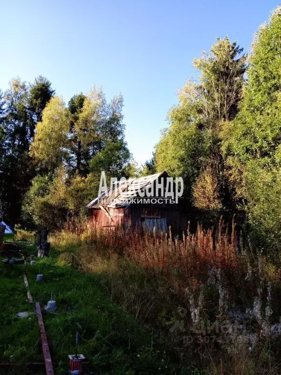 Участок в Ленинградская область, Приозерский район, Кузнечнинское ... - Фото 1