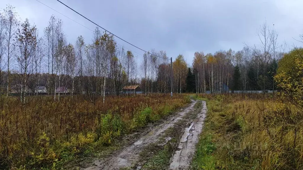 Участок в Московская область, Домодедово городской округ, с. Добрыниха ... - Фото 2