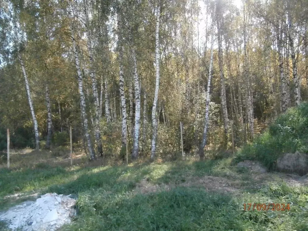 Участок в Московская область, Лосино-Петровский городской округ, д. ... - Фото 1